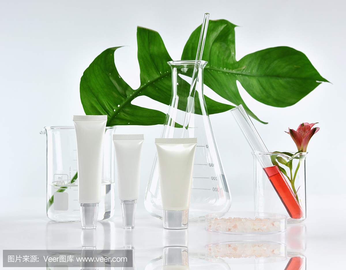 化妆品瓶容器与绿色草药叶和科学玻璃器皿,空白标签包装的品牌模型,研究和发展天然有机美容护肤产品的概念。